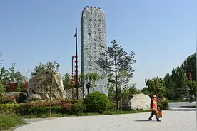 马上评｜一块景观石150万，有没有猫腻儿？图片