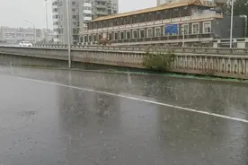 最新！北京六预警齐发，局地大风可达11级以上图片