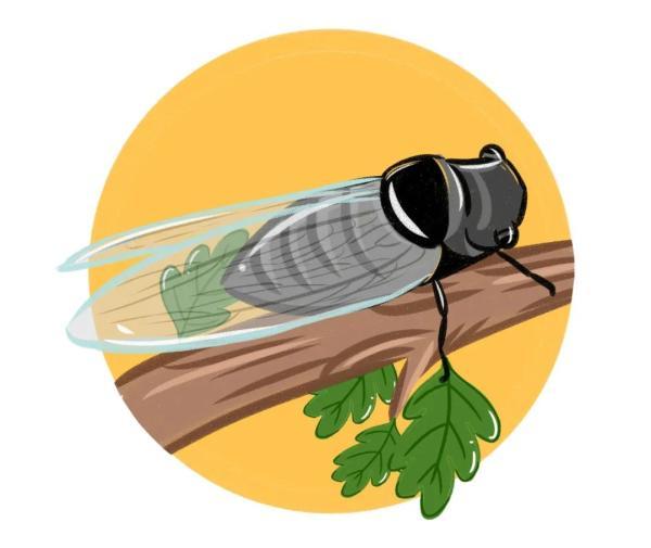 高温天这种虫害高发，号称植物的天敌！你能来帮忙除害吗？