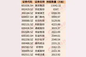 社保基金新进重仓股名单来了，正在大举买入这些标的……图片