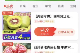 美团上线“团好货”，要抢阿里、拼多多的电商生意？图片