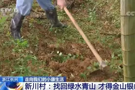 走向我们的小康生活丨关停污染矿山、淘汰落后产业……新川村找回绿水青山才得金山银山图片