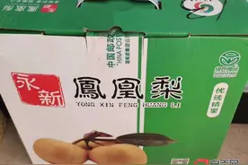 自贡綦江两地青少年手拉手 书信交友互赠特产图片