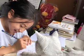 家里养了一柜子蜥蜴、蝎子、蜘蛛…杭州妈妈给娃打造“动物王国”！网友：绝了图片