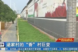商河殷巷镇组建留兰香产业党委,组团把钱赚,真正实现“香”村巨变视频封面