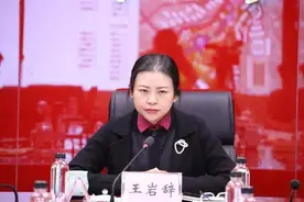 王岩辞，职务再调整图片