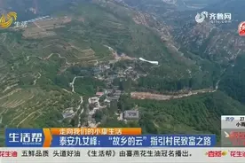 泰安九女峰度假村受欢迎，绝美山水搭配高端民宿，人气高得没话说视频封面