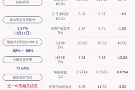 我爱我家：实际控制人谢勇及控股股东合计解除质押约9095万股图片