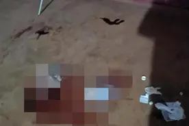 中国公民在刚果（金）遭抢劫身亡，中方大使提出严正交涉图片
