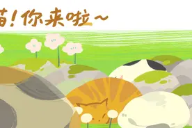 流浪狗每天在楼道等主人，终于等到的那天，它却不和主人走了……图片