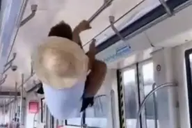 外国“孙悟空”？看中国法律如何管图片