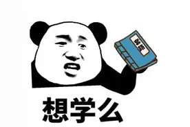 汽车小知识｜安全带需不需要更换？图片