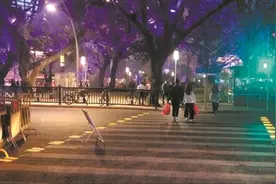 地面红绿灯提醒低头族图片