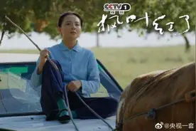 《枫叶红了》收视飘红，兰州姑娘戏红人更红图片