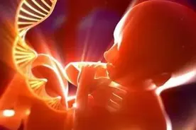 丈夫去世后，医院拒绝为妻子继续胚胎移植手术，法院这样判图片