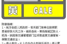 北京升级发布大风黄色预警，局地可达11级以上图片
