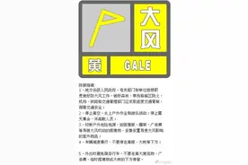 北京升级发布大风黄色预警，局地可达11级以上图片