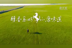 醇香马奶 小康味道视频封面