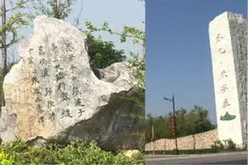 一块景观石150万，政府“买石造景”之风当刹图片