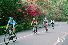 惠州10条最美骑行线路来了，骑车兜风去图片