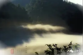 行知｜文学就是人学图片