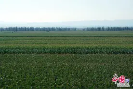 回首脱贫路 天镇保姆温瑞林的“技”转人生图片