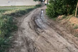 柴油三轮车为何限行 旱情严重有何补贴政策图片