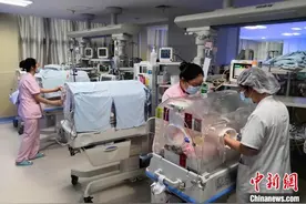 湖北宜昌产妇诞下罕见龙凤四胞胎图片