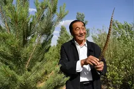 石光银：“恶沙不除，穷根不拔，我枉活一世！”图片