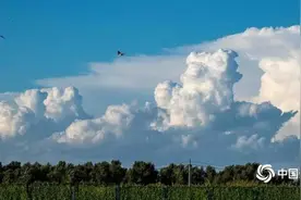 壮观！哈尔滨天空现庞大鬃积雨云图片