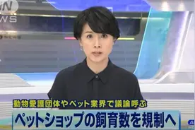 日本拟对宠物店的宠物数量设定上限 打击不良商家图片