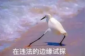 90后留学生“带飞”化妆品获刑！这个细节让人震惊……图片