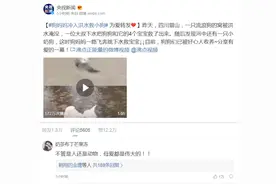 获12万点赞！狗妈妈冲入洪水救小狗，大叔、民警都来帮忙……网友：为母则刚图片