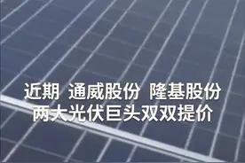 中国财富报道|光伏产业链价格上涨 龙头股价翻倍视频封面