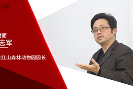 面对面 | 红山动物园园长沈志军：想到大象睡觉时难受的样子，我心疼图片