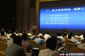 海南临高发布重点招商领域图片