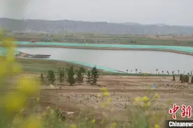 兰州新区覆绿改善小气候 修复生态打造“陇中平原”图片