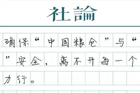 粮仓与饭碗：需每一个人的身体力行图片