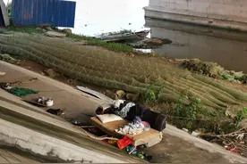 记者暗访∣周口沙颍河内频现地笼 犹如布下鱼虾“绝命阵”图片