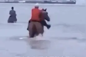 “救命恩马”的后续故事来了图片