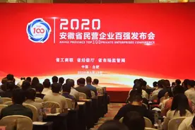 2020安徽民企百强榜发布，鸠江区这些企业上榜！图片