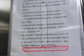 晚上10点半后才能遛狗？物业有权这么规定吗？图片