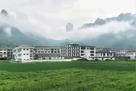 浙江仙居淡竹：“绿币”机制助力守护绿水青山图片