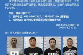 滁州警方公开征集马亮、程家林等人违法犯罪线索图片