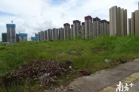 台山台城南新区一宗53亩商住地即将挂牌出让图片