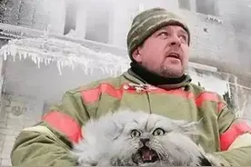 俄罗斯情侣家养八只大狗两只猞猁，满屏巨大的毛茸茸啊图片