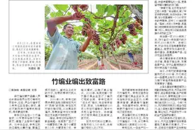 不走寻常路 巧用秘笈梨变“金”图片