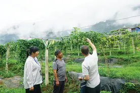 两任扶贫办主任落马后 扶贫资金拧紧了安全阀图片
