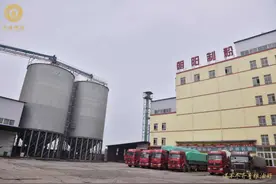 道不尽齐鲁粮油好走进聊城：企业助推农民致富让增收穿上金腰带图片