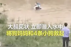 别怕，妈妈来了图片